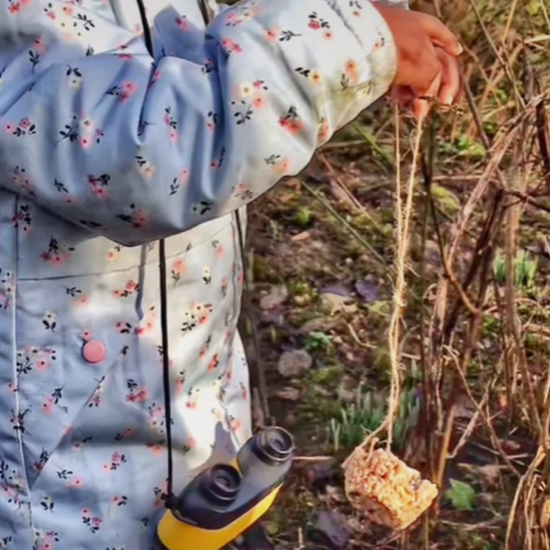 preschool child wearing binoculars and hanging a bird feeder