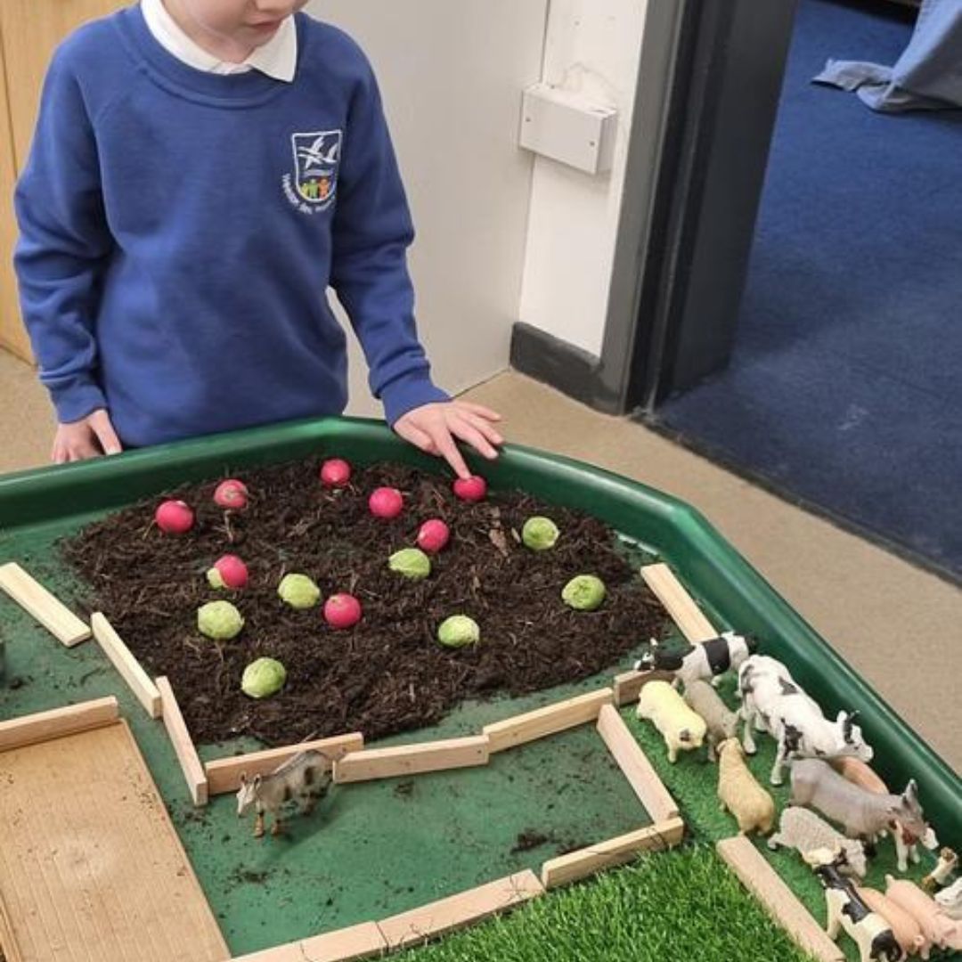 A reception child playing with farm animal toys