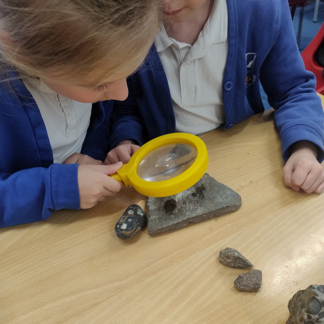 A fossil experiment