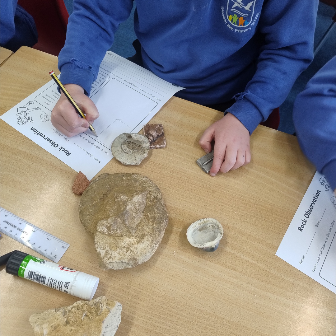 A fossil experiment